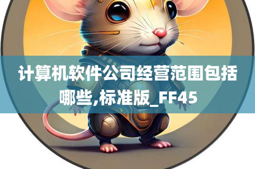 计算机软件公司经营范围包括哪些,标准版_FF45