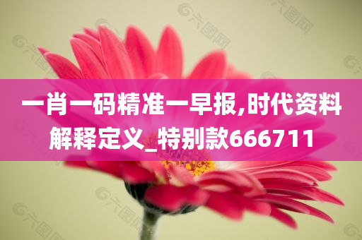 一肖一码精准一早报,时代资料解释定义_特别款666711