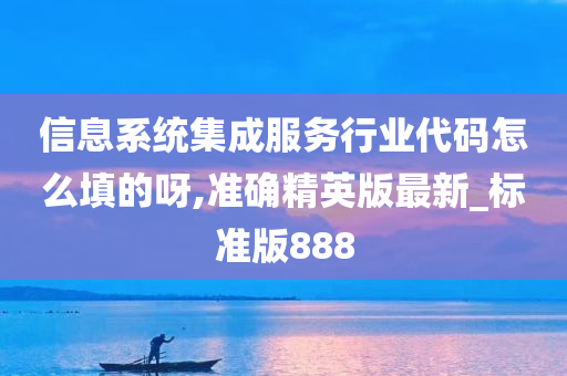 信息系统集成服务行业代码怎么填的呀,准确精英版最新_标准版888