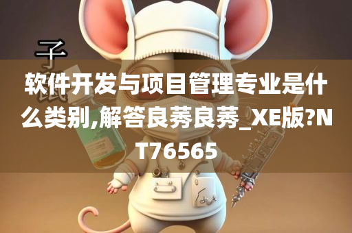 软件开发与项目管理专业是什么类别,解答良莠良莠_XE版?NT76565