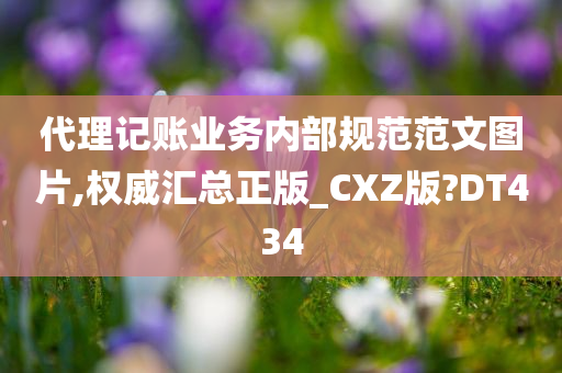 代理记账业务内部规范范文图片,权威汇总正版_CXZ版?DT434