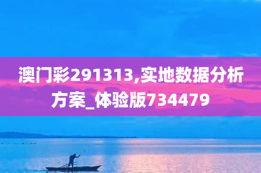 澳门彩291313,实地数据分析方案_体验版734479