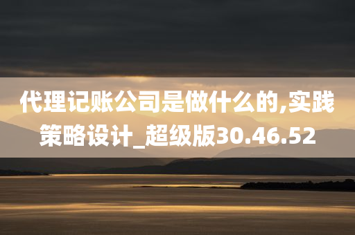 代理记账公司是做什么的,实践策略设计_超级版30.46.52