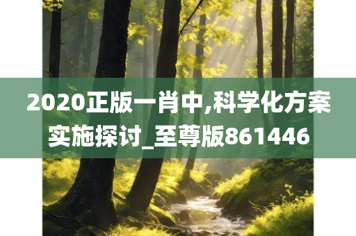 2020正版一肖中,科学化方案实施探讨_至尊版861446