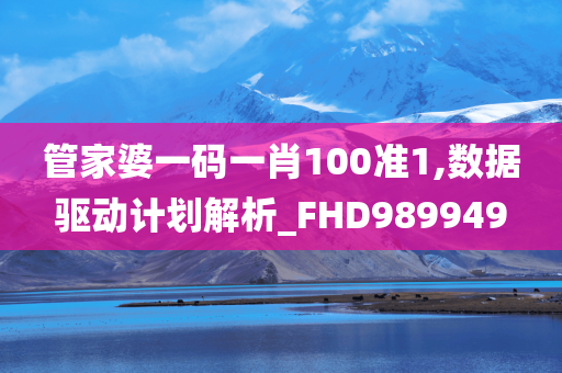 管家婆一码一肖100准1,数据驱动计划解析_FHD989949