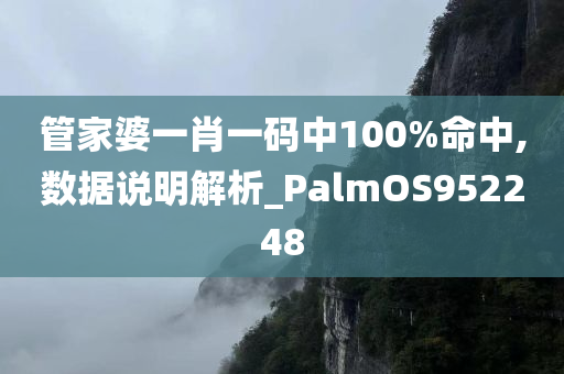 管家婆一肖一码中100%命中,数据说明解析_PalmOS952248