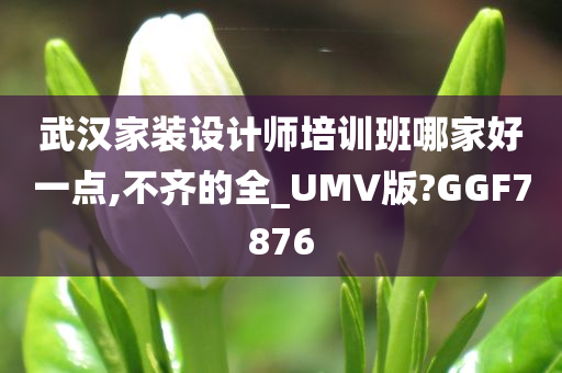 武汉家装设计师培训班哪家好一点,不齐的全_UMV版?GGF7876