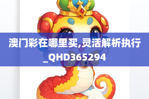 澳门彩在哪里买,灵活解析执行_QHD365294