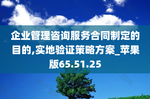 企业管理咨询服务合同制定的目的,实地验证策略方案_苹果版65.51.25