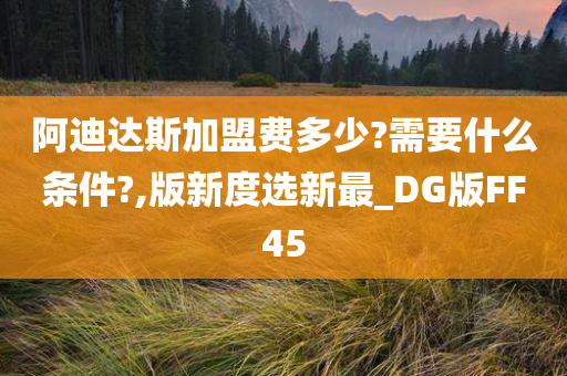 阿迪达斯加盟费多少?需要什么条件?,版新度选新最_DG版FF45