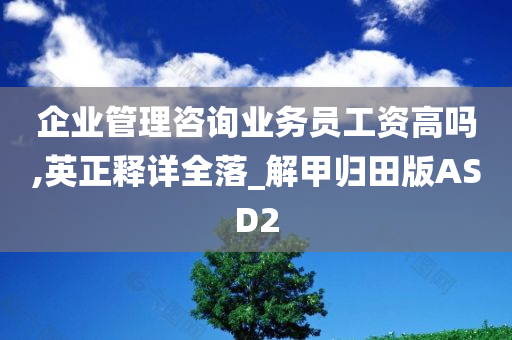 企业管理咨询业务员工资高吗,英正释详全落_解甲归田版ASD2