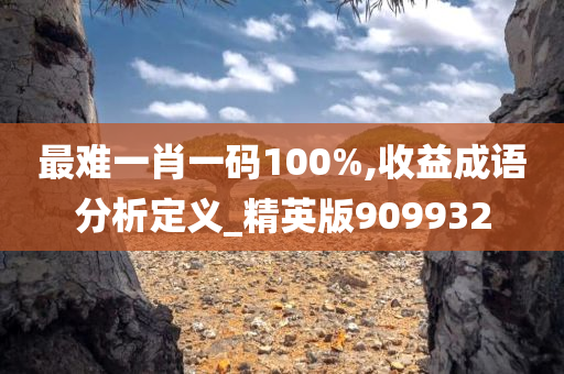 最难一肖一码100%,收益成语分析定义_精英版909932