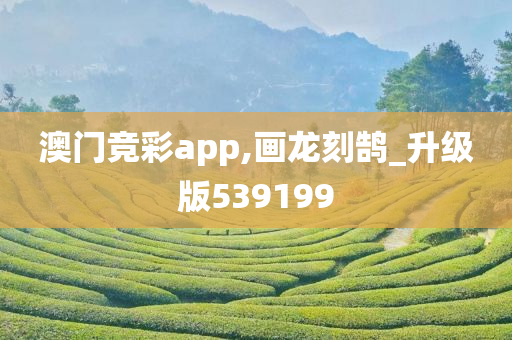 澳门竞彩app,画龙刻鹄_升级版539199