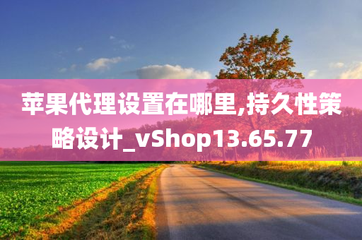 苹果代理设置在哪里,持久性策略设计_vShop13.65.77