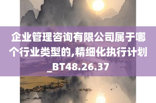 企业管理咨询有限公司属于哪个行业类型的,精细化执行计划_BT48.26.37