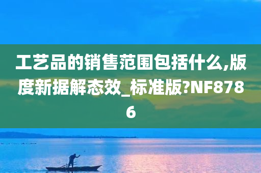 工艺品的销售范围包括什么,版度新据解态效_标准版?NF8786