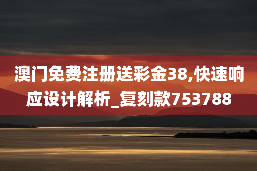 澳门免费注册送彩金38,快速响应设计解析_复刻款753788