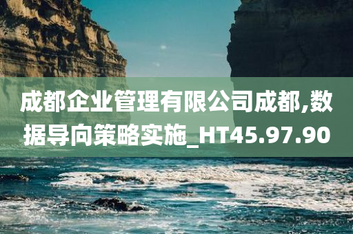 成都企业管理有限公司成都,数据导向策略实施_HT45.97.90