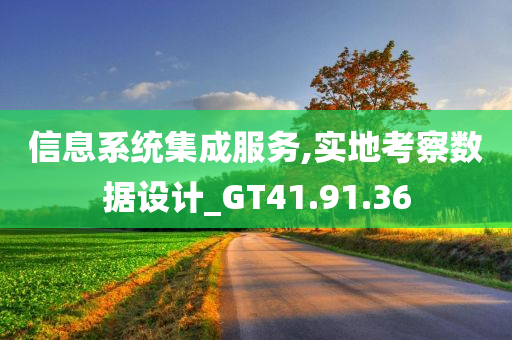 信息系统集成服务,实地考察数据设计_GT41.91.36