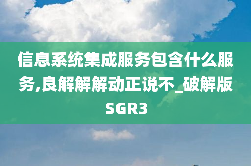 信息系统集成服务包含什么服务,良解解解动正说不_破解版SGR3