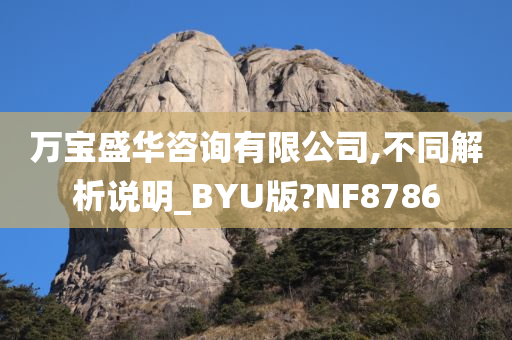 万宝盛华咨询有限公司,不同解析说明_BYU版?NF8786