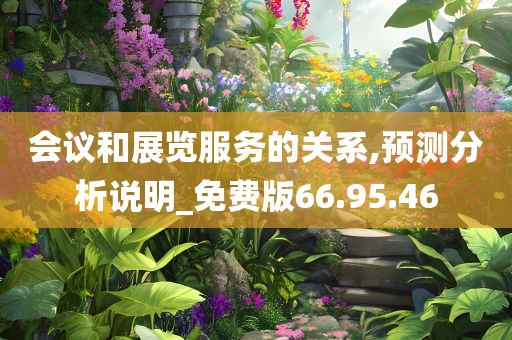 会议和展览服务的关系,预测分析说明_免费版66.95.46