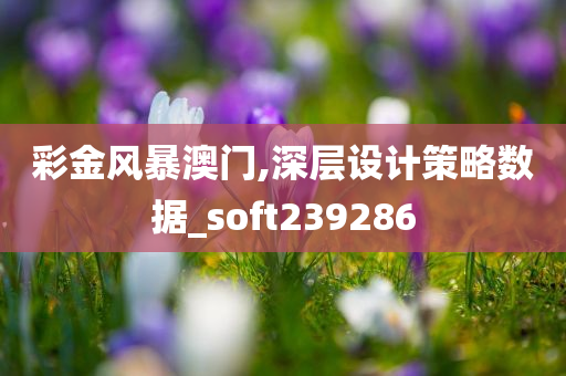 彩金风暴澳门,深层设计策略数据_soft239286