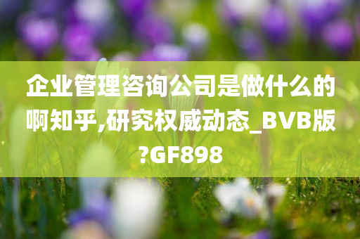 企业管理咨询公司是做什么的啊知乎,研究权威动态_BVB版?GF898