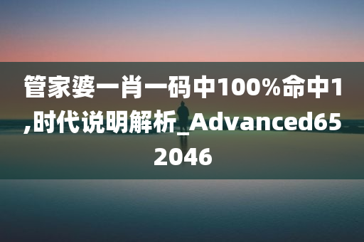 管家婆一肖一码中100%命中1,时代说明解析_Advanced652046