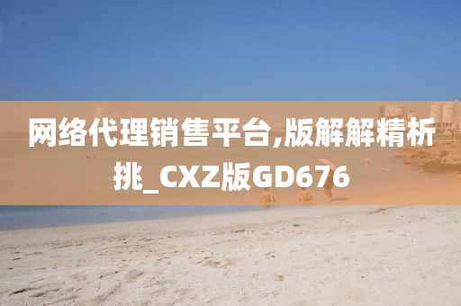 网络代理销售平台,版解解精析挑_CXZ版GD676