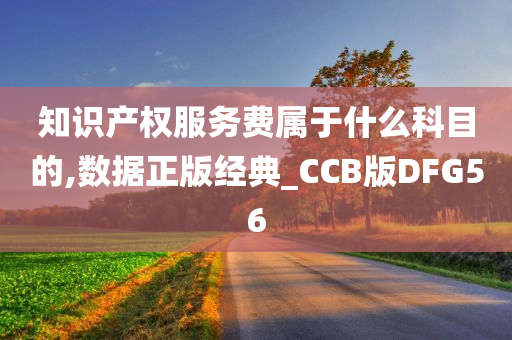 知识产权服务费属于什么科目的,数据正版经典_CCB版DFG56