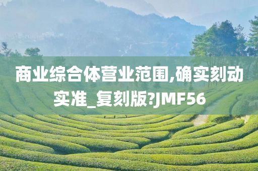 商业综合体营业范围,确实刻动实准_复刻版?JMF56