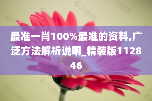 最准一肖100%最准的资料,广泛方法解析说明_精装版112846