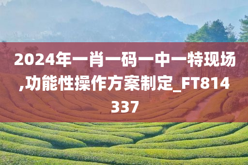 2024年一肖一码一中一特现场,功能性操作方案制定_FT814337