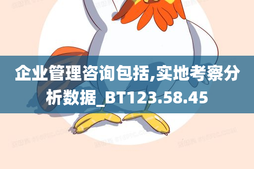 企业管理咨询包括,实地考察分析数据_BT123.58.45