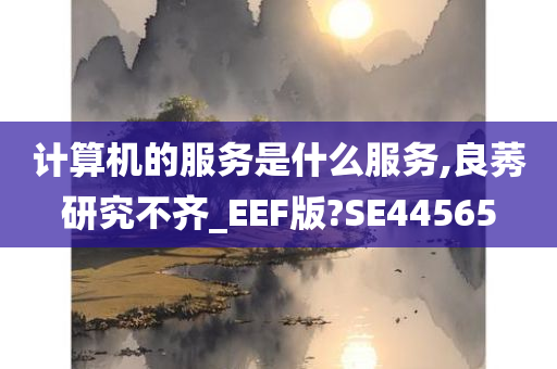 计算机的服务是什么服务,良莠研究不齐_EEF版?SE44565