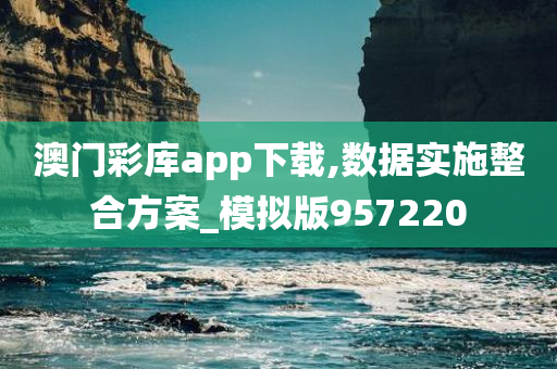 澳门彩库app下载,数据实施整合方案_模拟版957220