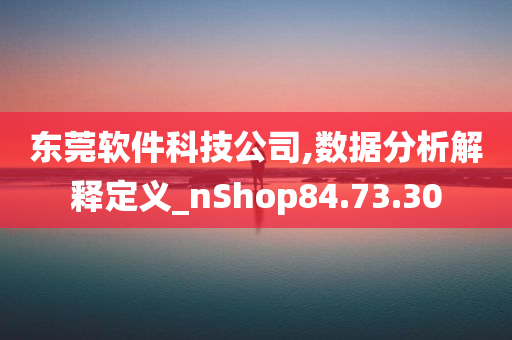 东莞软件科技公司,数据分析解释定义_nShop84.73.30