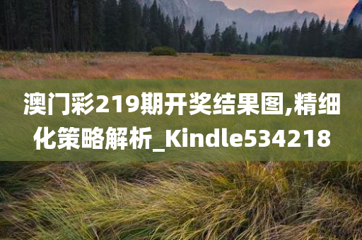 澳门彩219期开奖结果图,精细化策略解析_Kindle534218