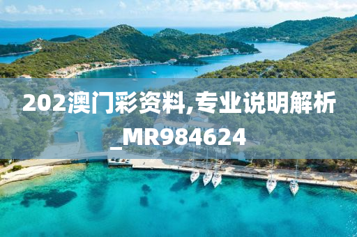 202澳门彩资料,专业说明解析_MR984624