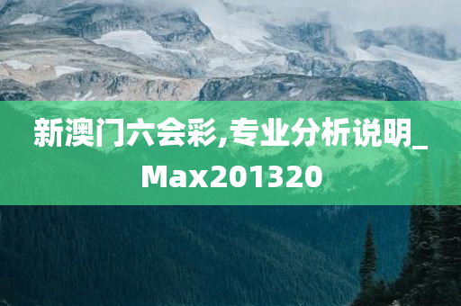 新澳门六会彩,专业分析说明_Max201320