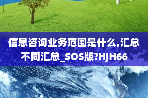 信息咨询业务范围是什么,汇总不同汇总_SOS版?HJH66