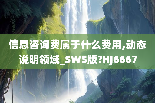 信息咨询费属于什么费用,动态说明领域_SWS版?HJ6667