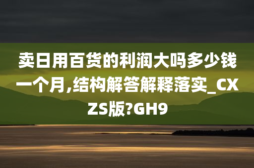 卖日用百货的利润大吗多少钱一个月,结构解答解释落实_CXZS版?GH9