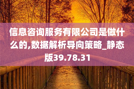 信息咨询服务有限公司是做什么的,数据解析导向策略_静态版39.78.31