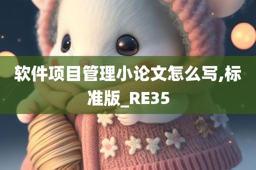 软件项目管理小论文怎么写,标准版_RE35