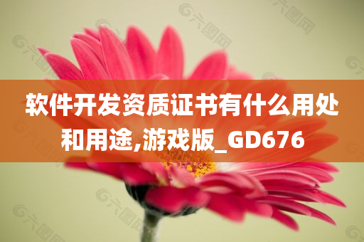 软件开发资质证书有什么用处和用途,游戏版_GD676