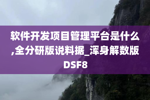 软件开发项目管理平台是什么,全分研版说料据_浑身解数版DSF8