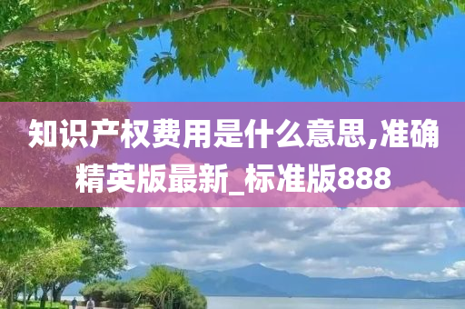 知识产权费用是什么意思,准确精英版最新_标准版888