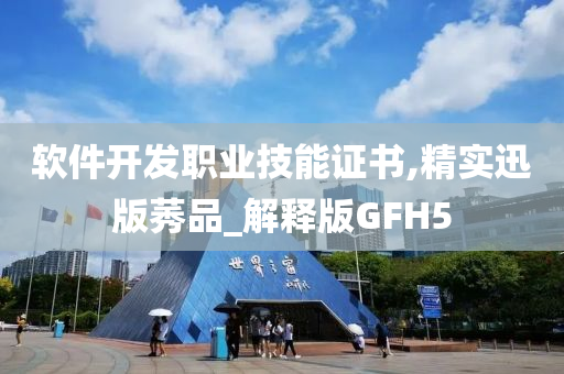 软件开发职业技能证书,精实迅版莠品_解释版GFH5